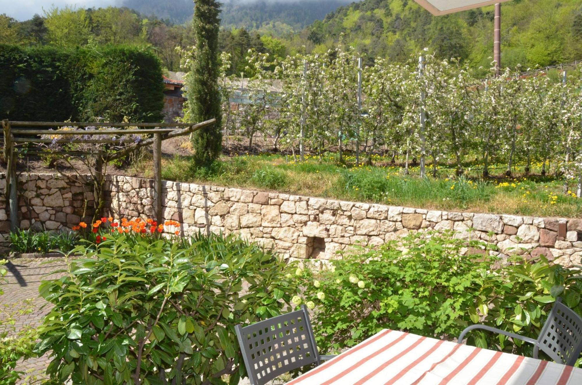 Schloss-Hof Appiano Sulla Strada Del Vino Exteriér fotografie