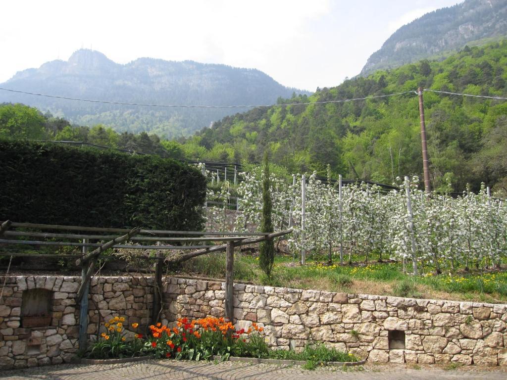 Schloss-Hof Appiano Sulla Strada Del Vino Pokoj fotografie